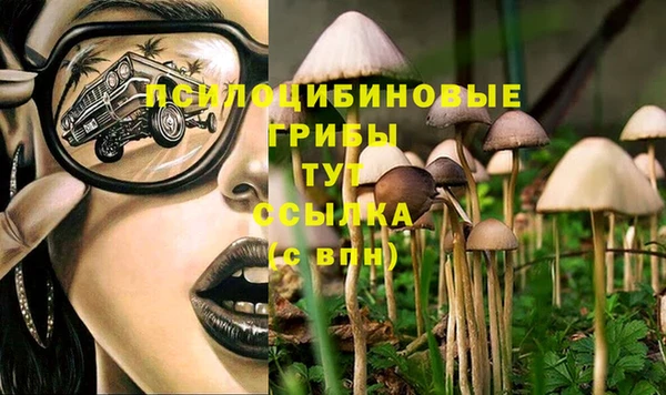 PSILOCYBIN Медногорск