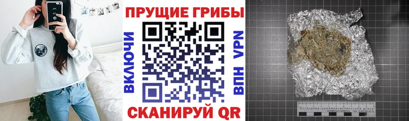 Галлюциногенные грибы мицелий  Купить  Малаховка 